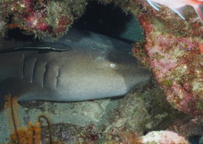 P4280001